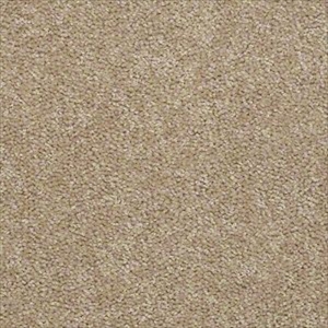 Textured Value 25 Asian Sand